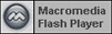 flash player